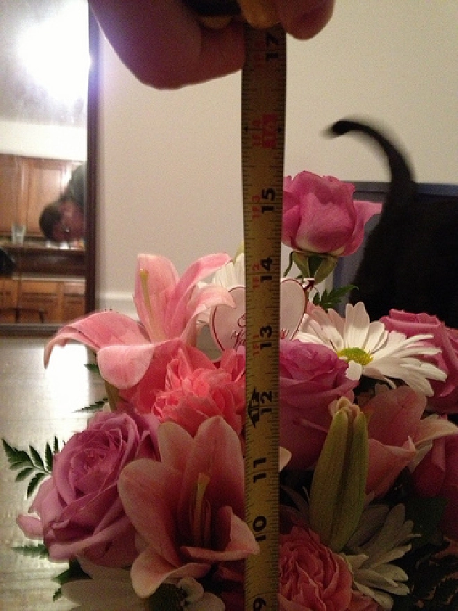 Height of final bouquet