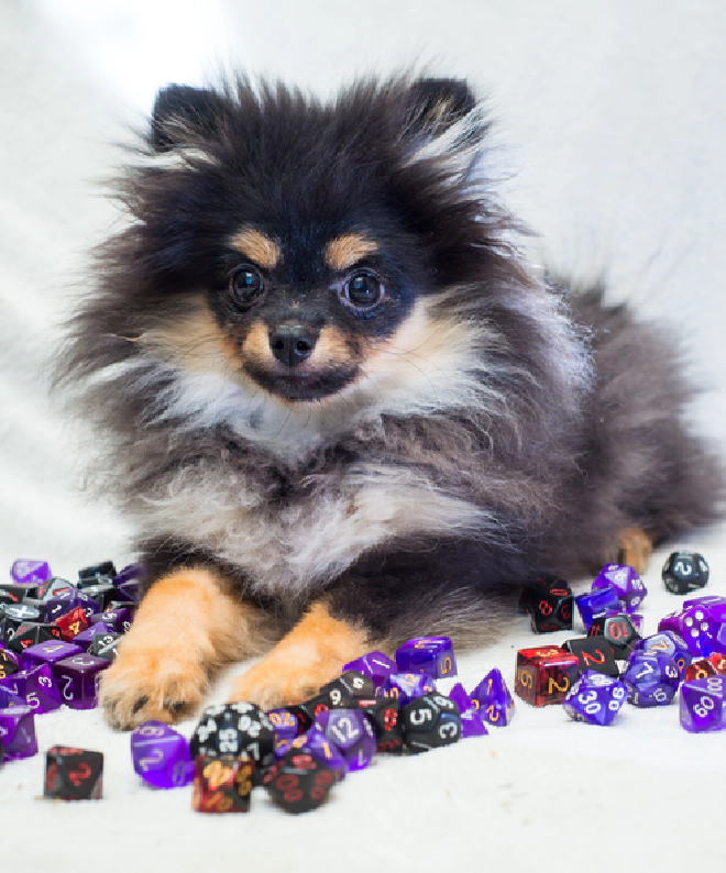 Image of dog (our player) with assorted dice