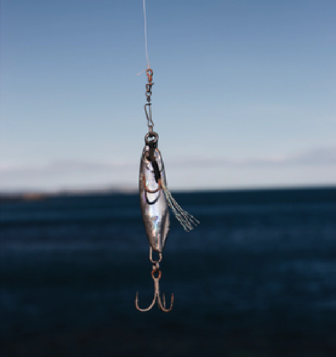 Image of lure on fishing line
